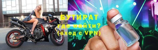 гашик Алексин