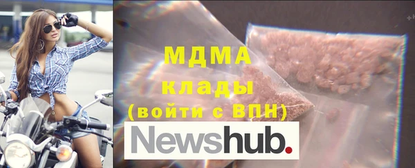 гашик Алексин