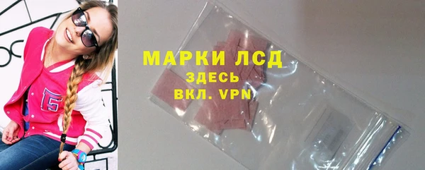 гашик Алексин