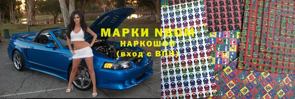гашик Алексин