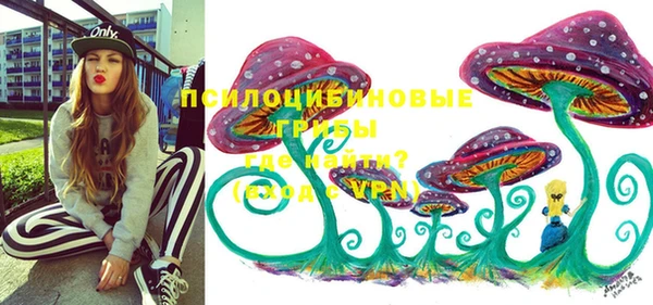 гашик Алексин
