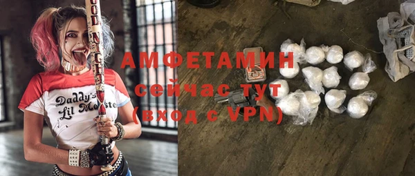 гашик Алексин