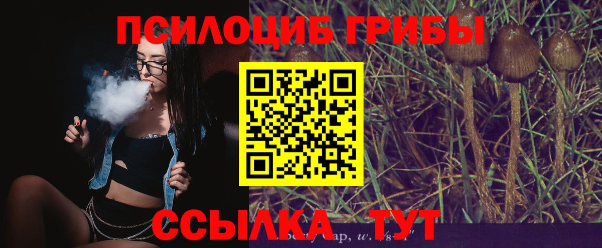 где найти наркотики  Галлюциногенные грибы мухоморы  Вход с VPN  Глазов  Галлюциногенные грибы GOLDEN TEACHER 